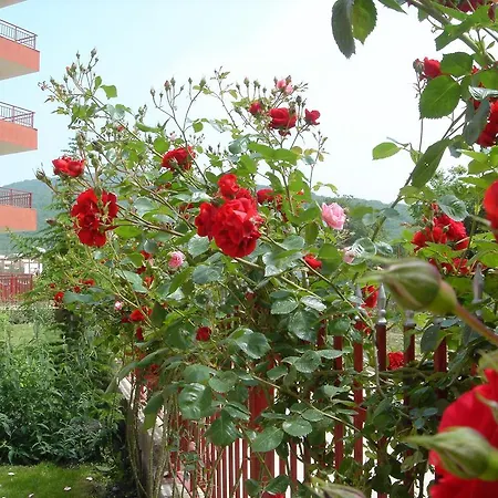 Gt Privilege Lägenhet *