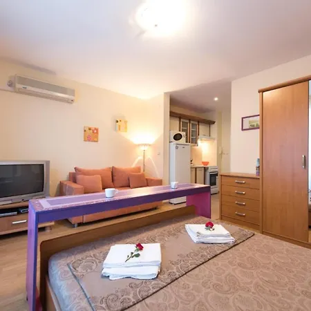 Gt Privilege * Elenite