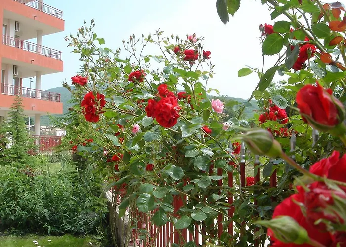 Gt Privilege 公寓 *