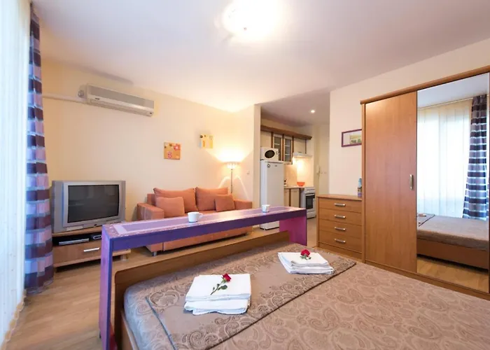 Gt Privilege * 埃勒尼特